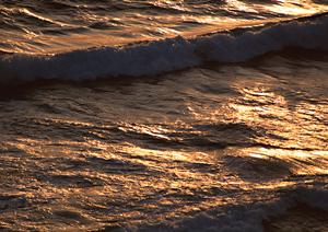 システムメンテナンスのお知らせとサービス影響に関する詳細情報