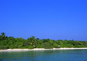 快適なビジネス旅を支える東横INN千葉幕張：充実の設備とお得な宿泊プラン