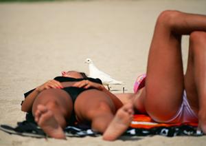 大阪市にある便利なビジネスホテル【東横INN京橋桜ノ宮】の詳細ガイド