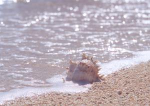名古屋市中心部に位置するビジネスホテル：東横INN名古屋栄の魅力と詳細情報